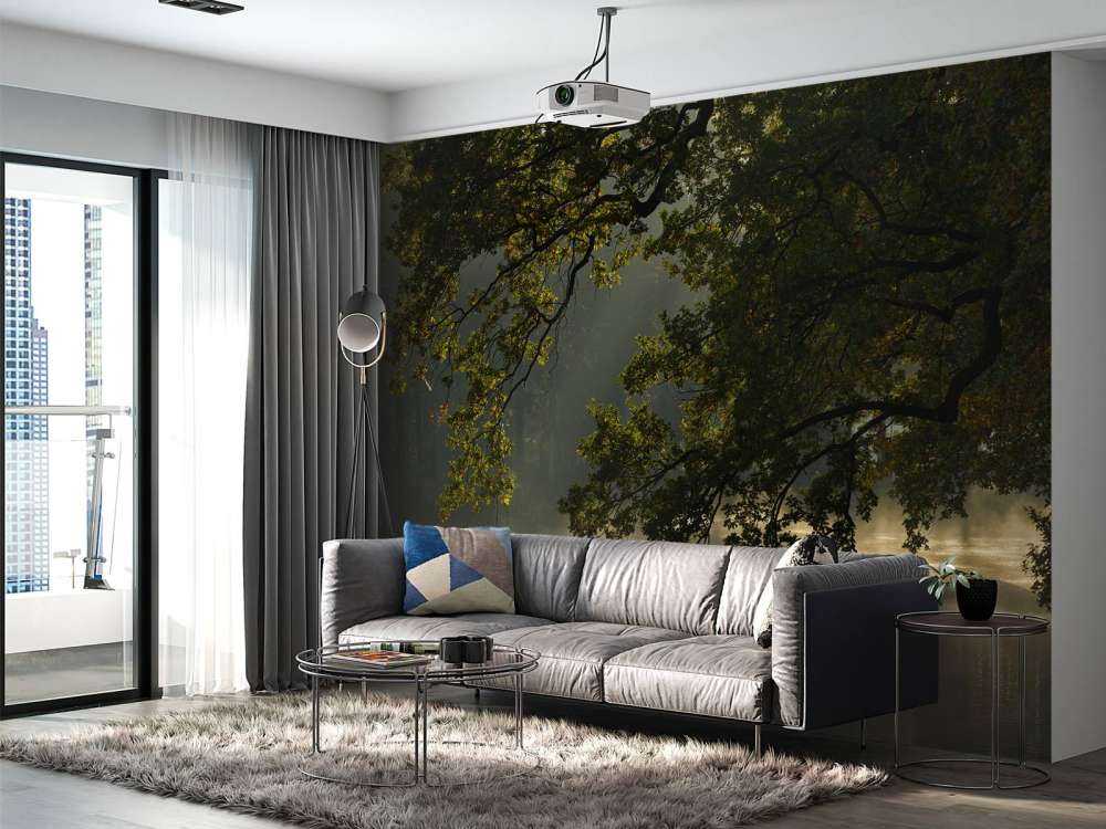 Rami a strapiombo sull'acqua