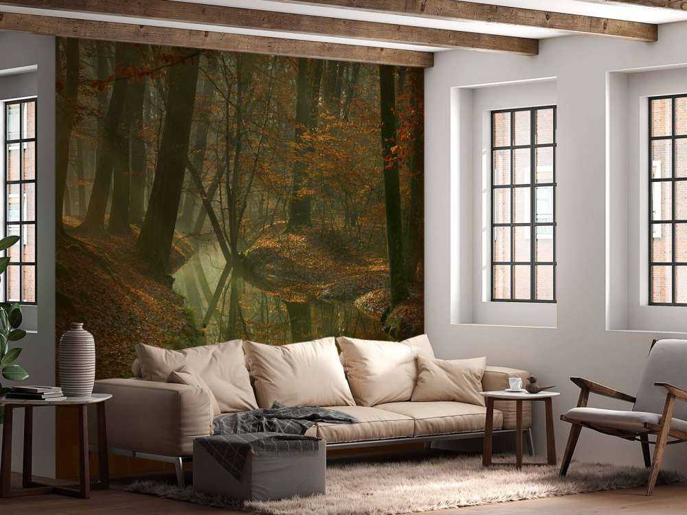 Fiume attraverso la foresta