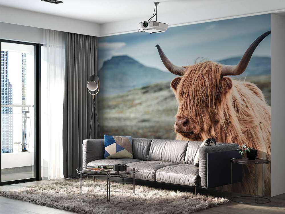 Highlander scozzese sulle colline