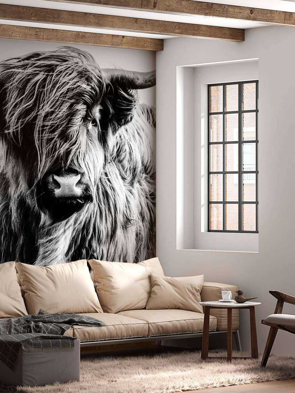 Highlander scozzese in bianco e nero