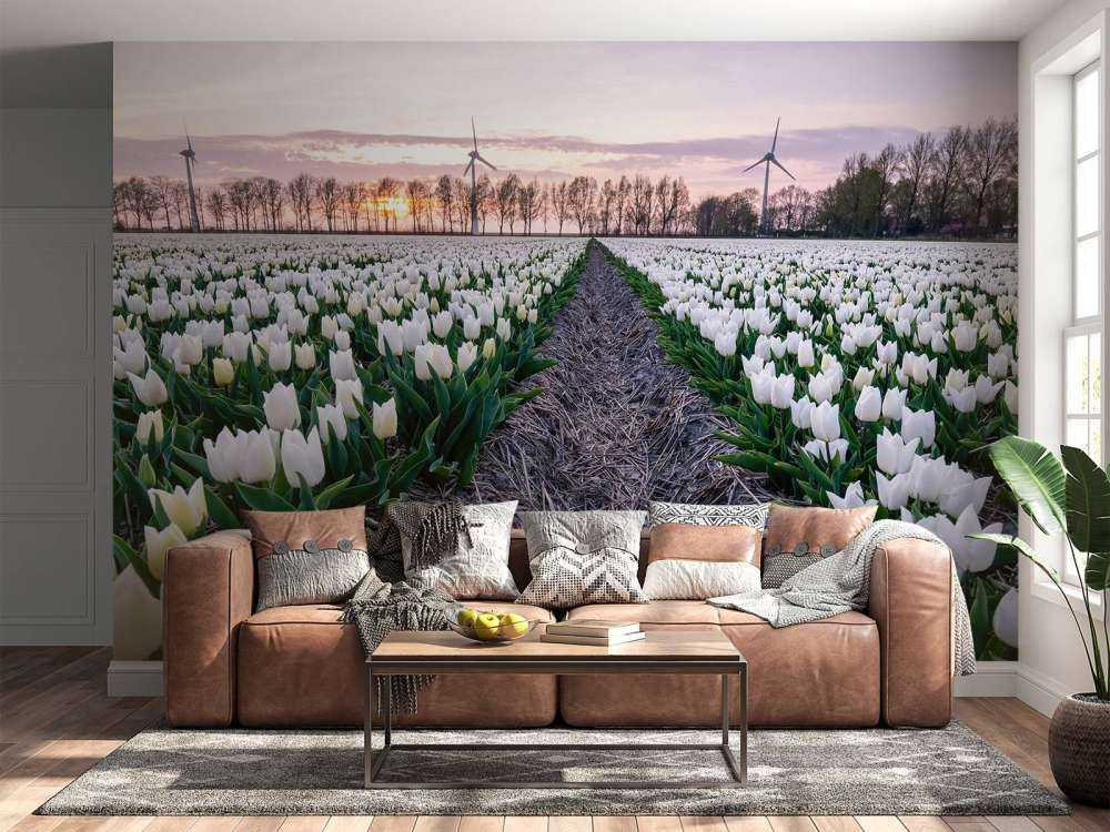 Campo di tulipani bianchi