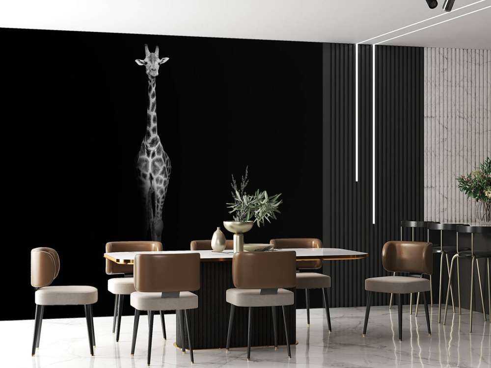 Giraffa in bianco e nero