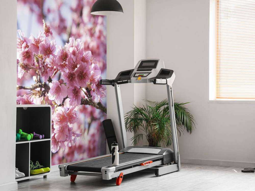 Fiore rosa in primo piano