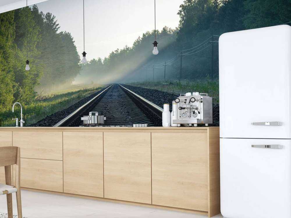 Binari del treno attraverso la foresta