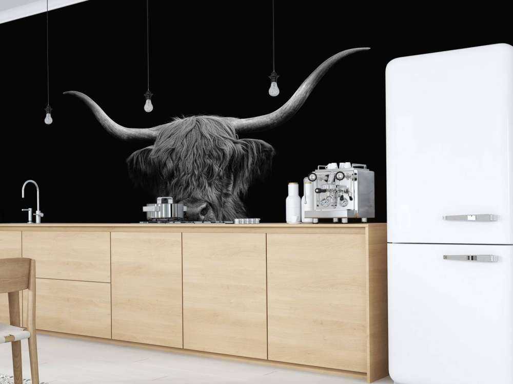 Highlander scozzese in bianco e nero