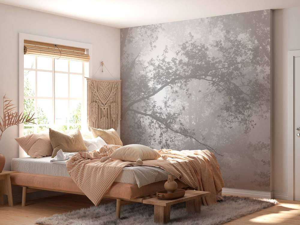 Una bella foresta nella nebbia