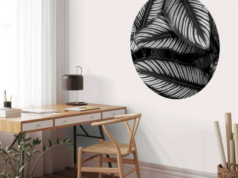 Foglie di palma bianche e nere