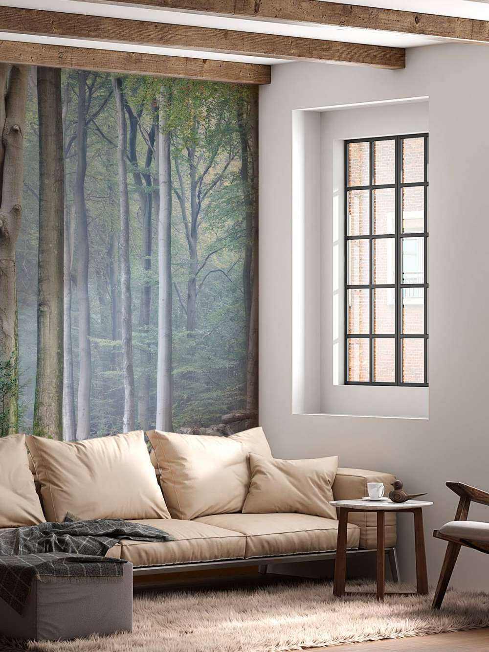 Sentiero attraverso la foresta