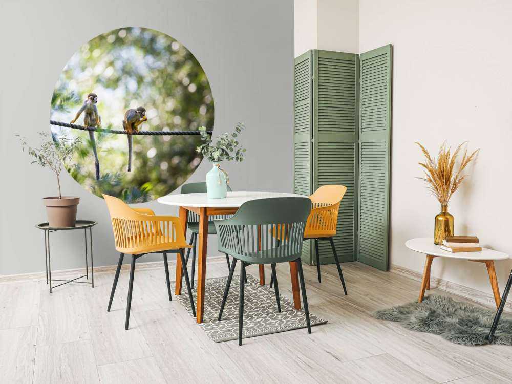 Scimmie scoiattolo su corda