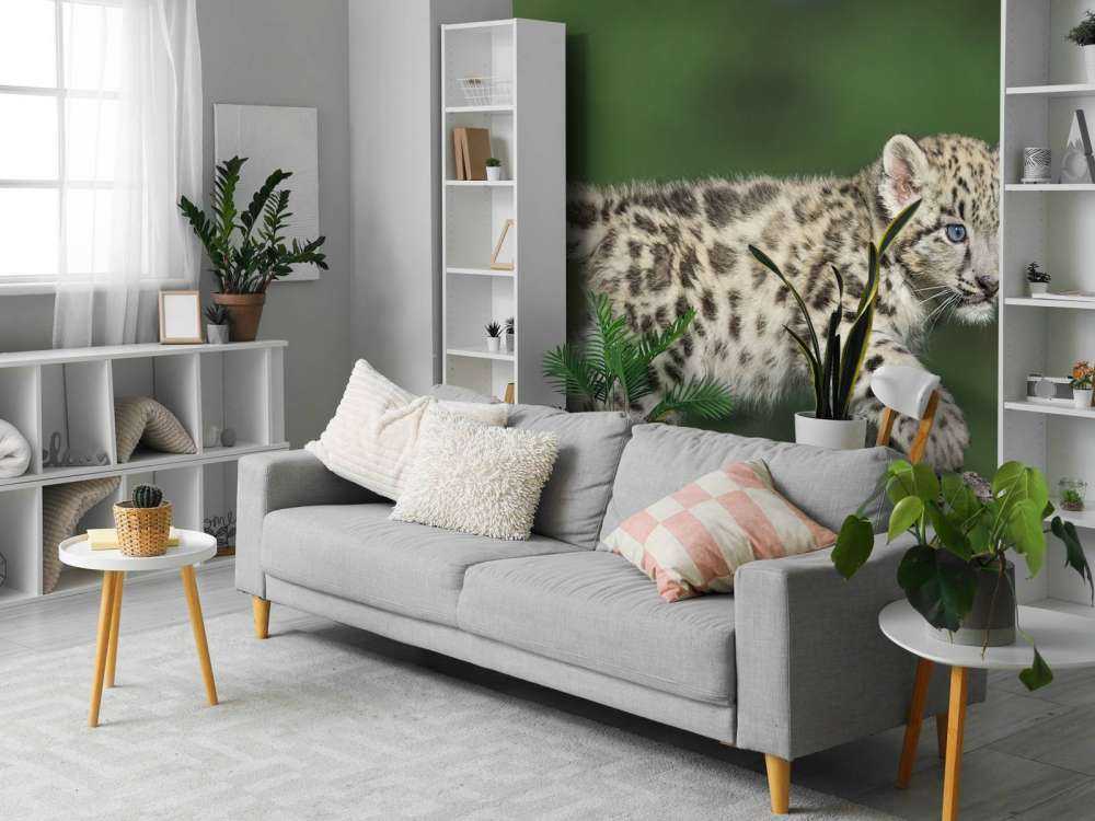 Cucciolo di leopardo delle nevi