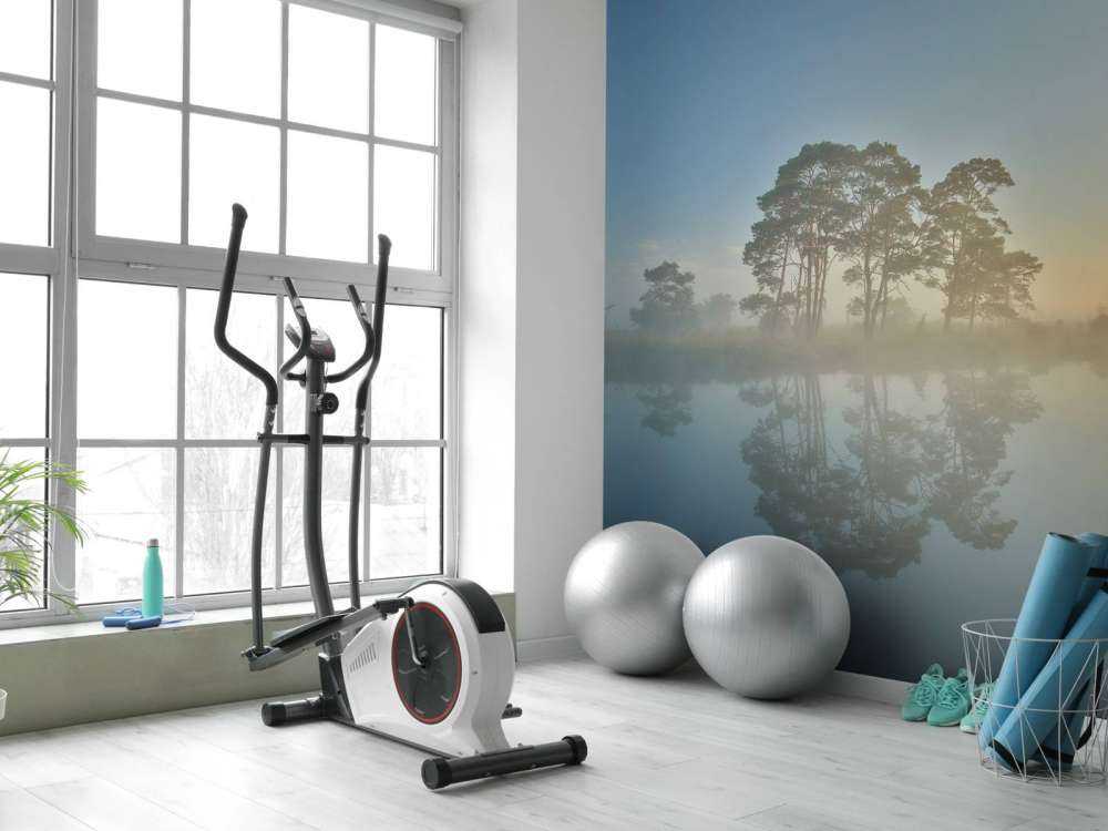 Nebbia nella brughiera