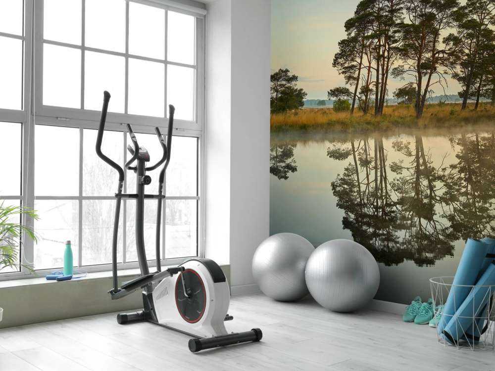 Riflessione nelle vene del bosco