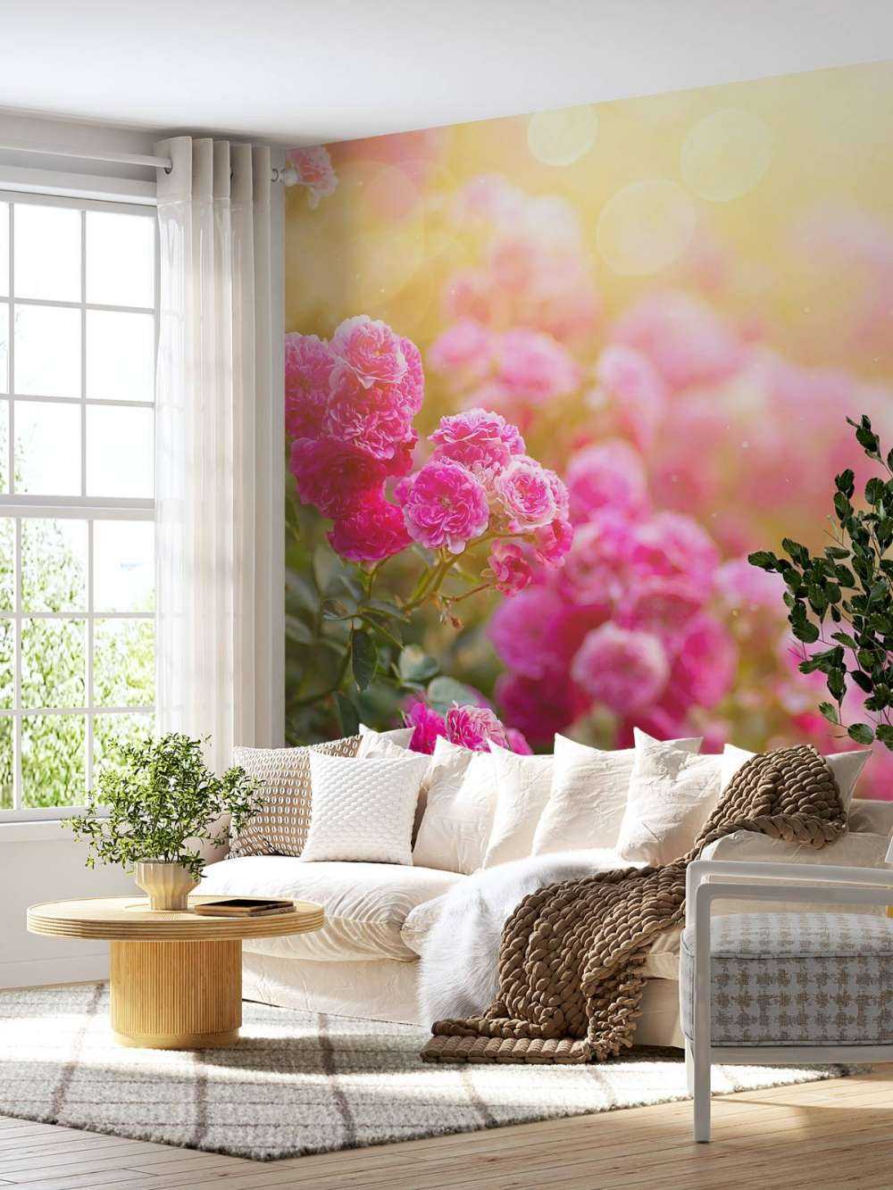 Cespugli di rose rosa