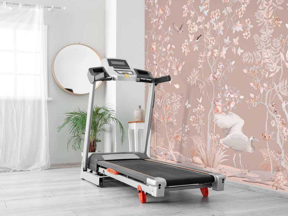 Corteo di Cigni Giardino