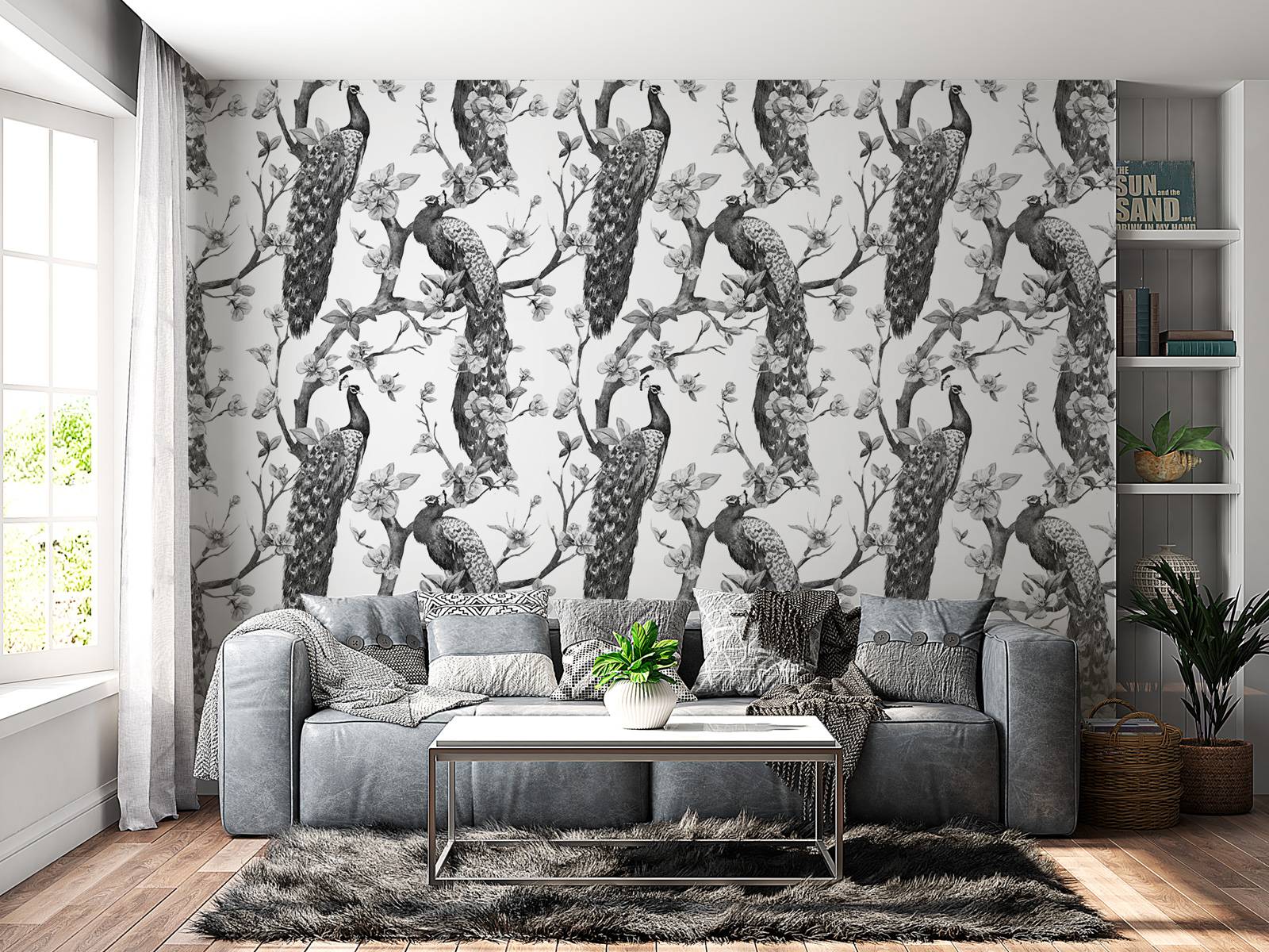 Splendore Monocromatico di Pavone, image size:1600x1200