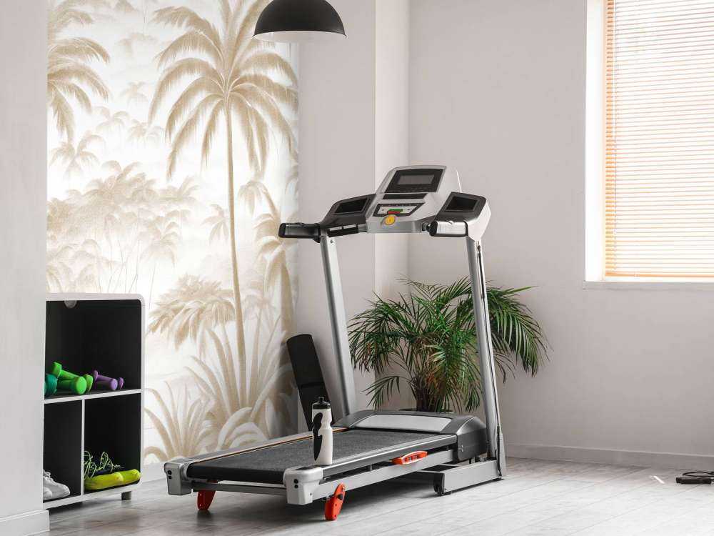 Oasi Tropicale di Montagna, taupe