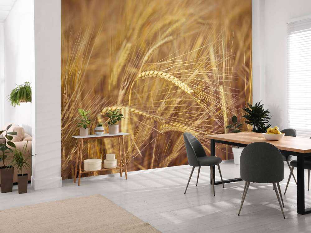 Wheat Field