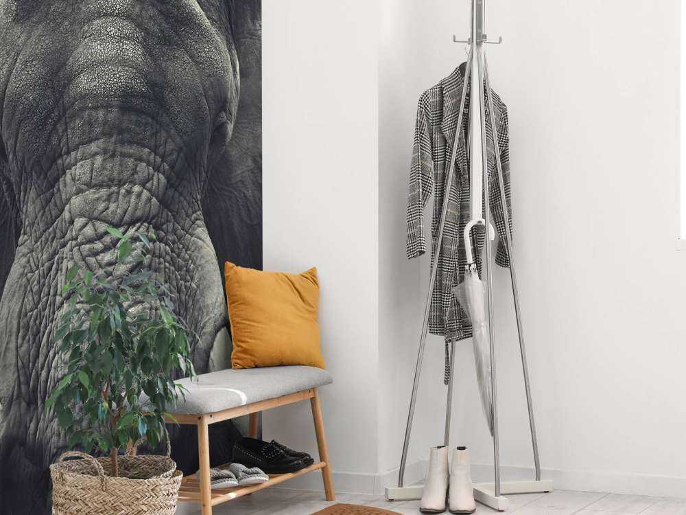 Primo piano di un elefante