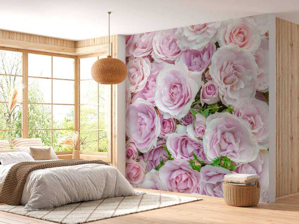 Rose colorate bianche e rosa