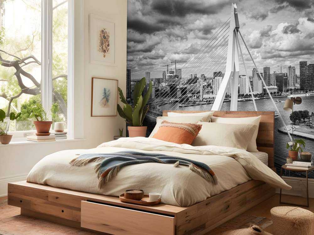 Il centro di Rotterdam da una grande altezza in bianco e nero