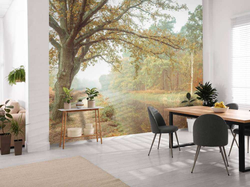 Lago nella foresta autunnale