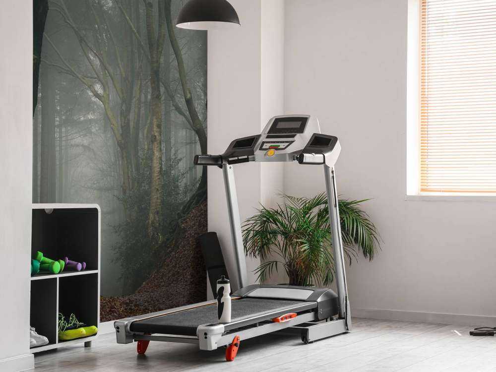 Sentiero attraverso la foresta misteriosa