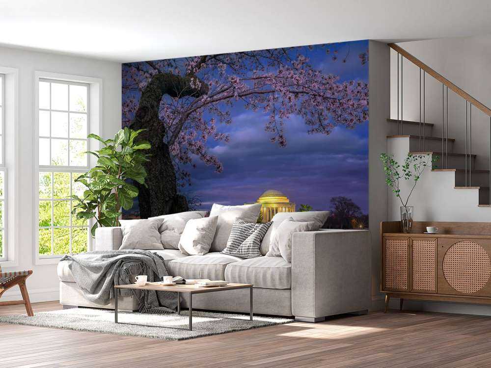 Cherry blossoms around the Jefferson Memorial