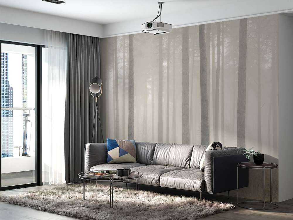 Foresta misteriosa e nebbiosa