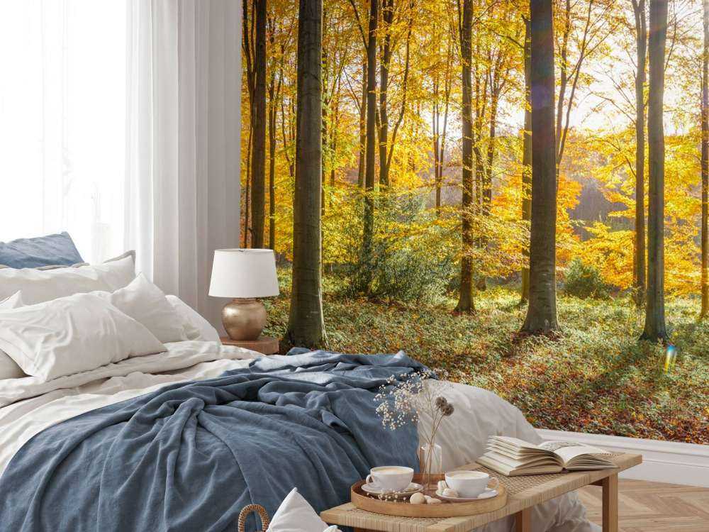 Giornata di sole autunnale