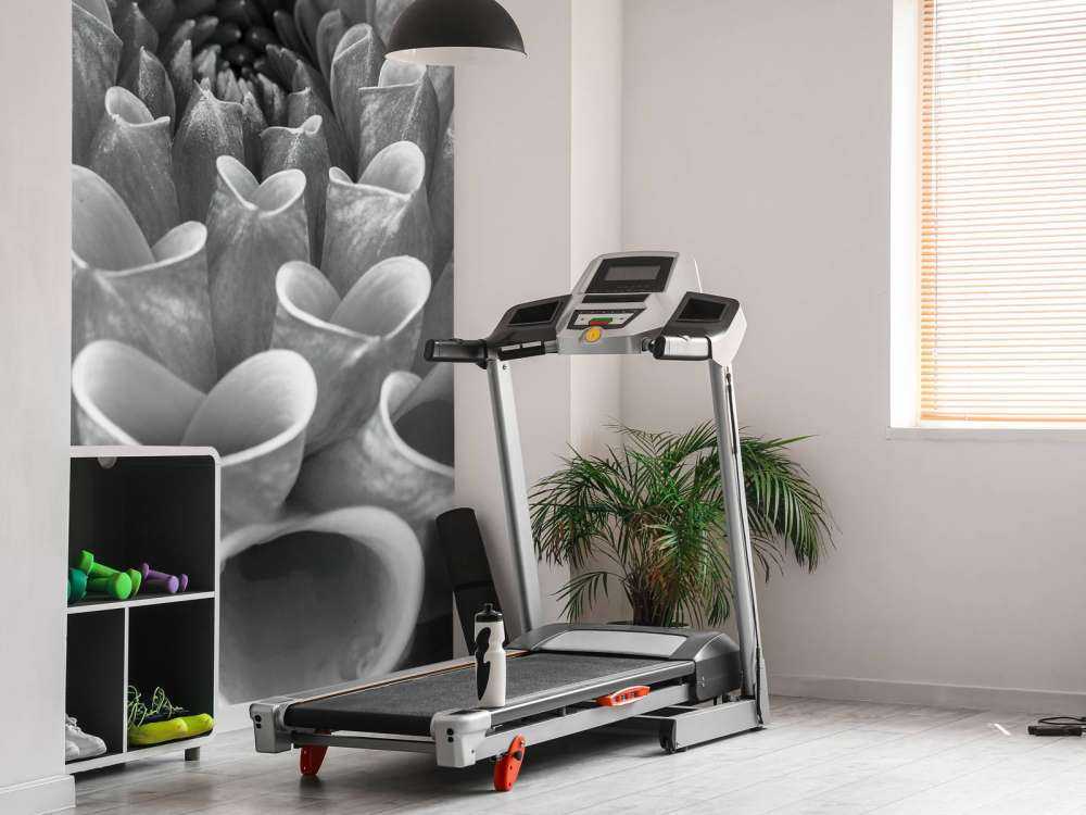 Dalia in primo piano