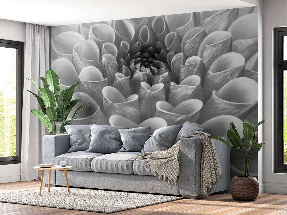 Dalia in primo piano