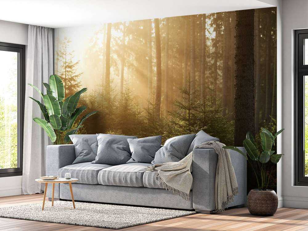 Raggi di sole attraverso la foresta