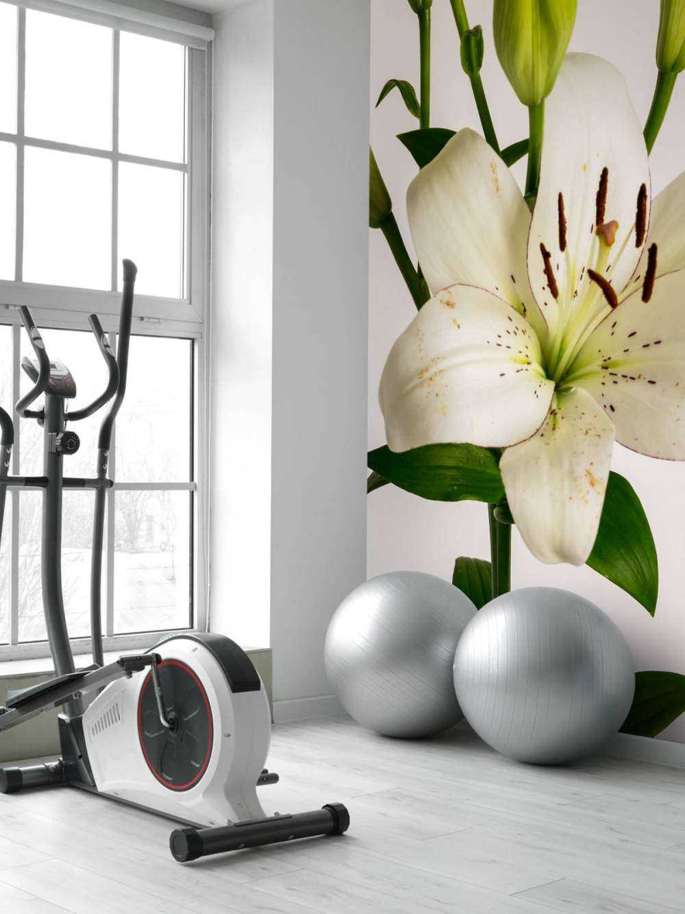 Fiore di giglio bianco