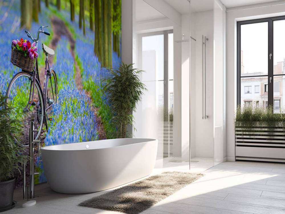 Bicicletta nella foresta