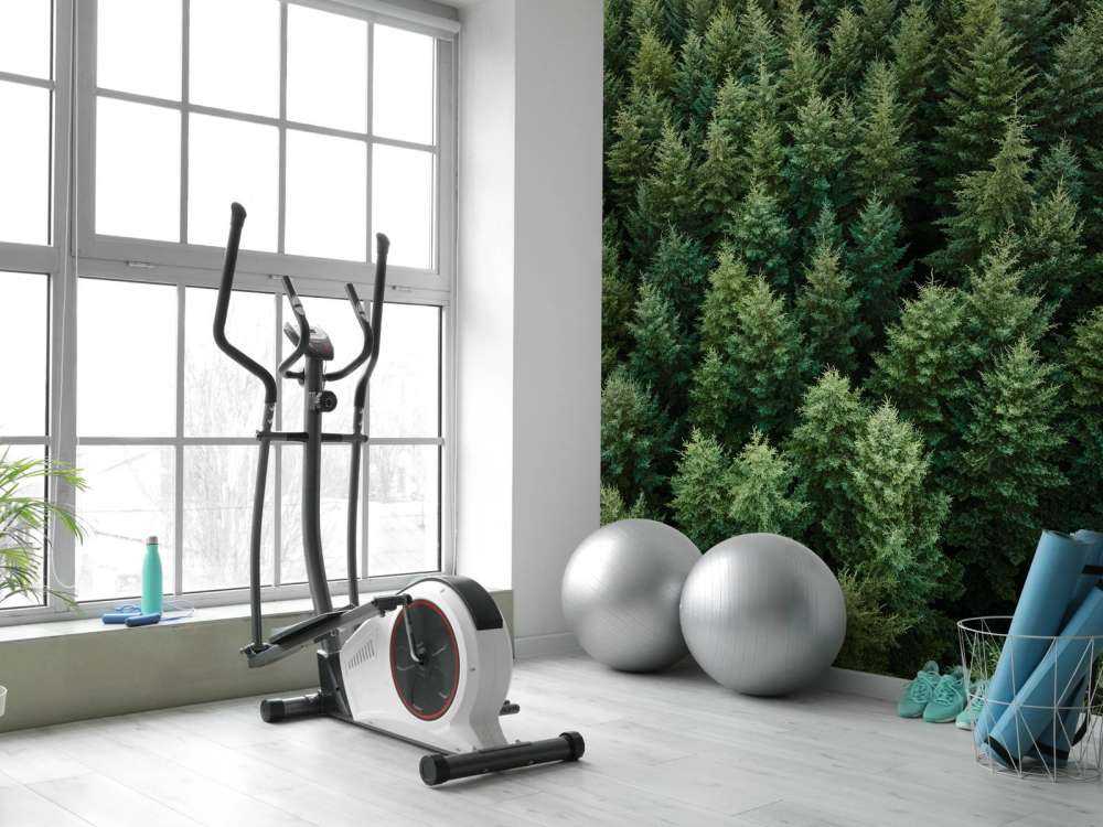 Abeti di Douglas dall'alto