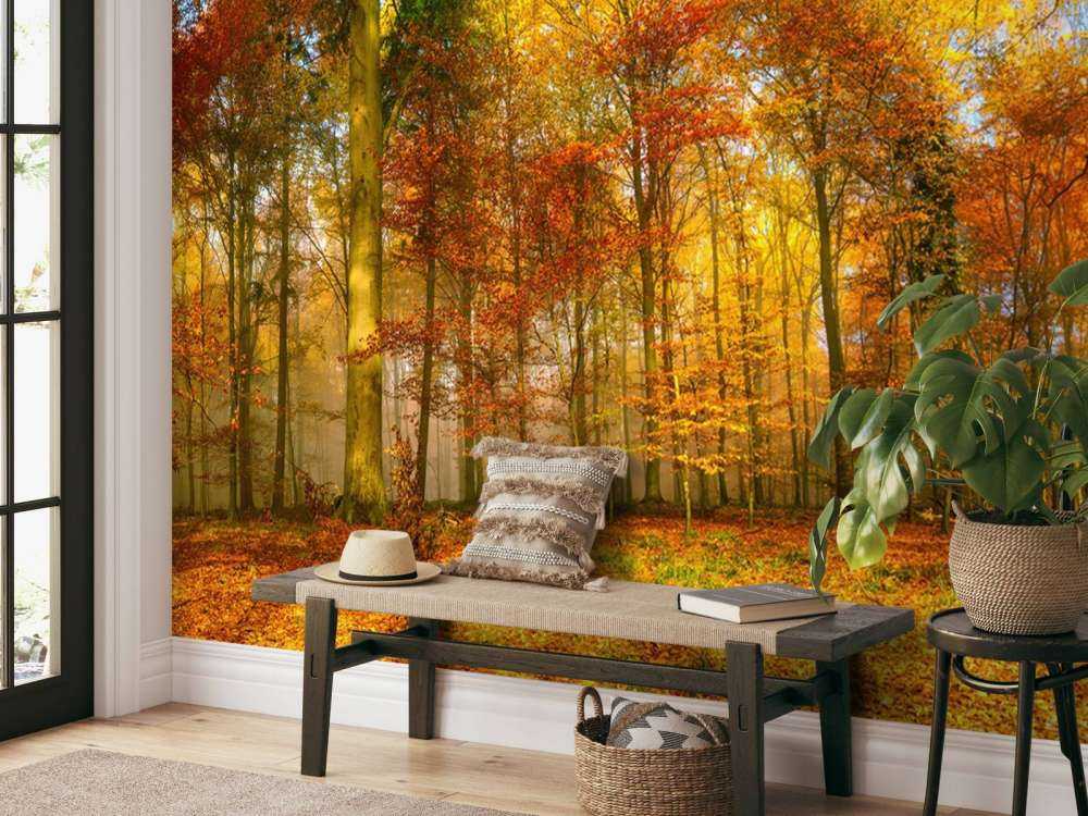 Panorama della foresta colorata