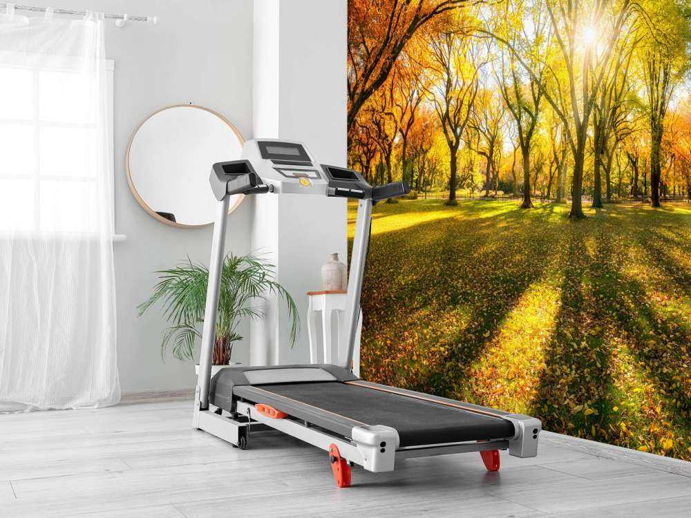 Foresta autunnale colorata