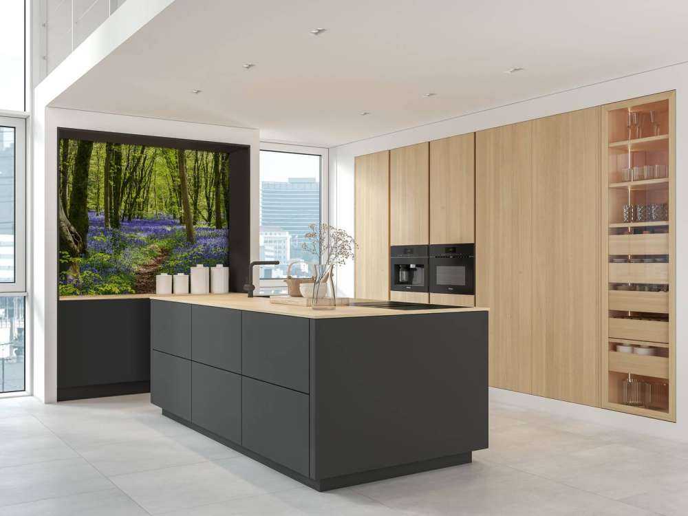 Foresta alla luce del sole