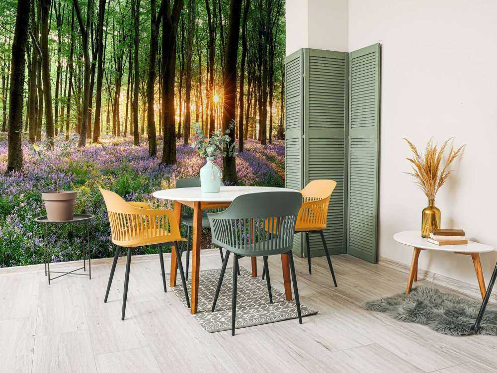 Sentiero della foresta all'alba