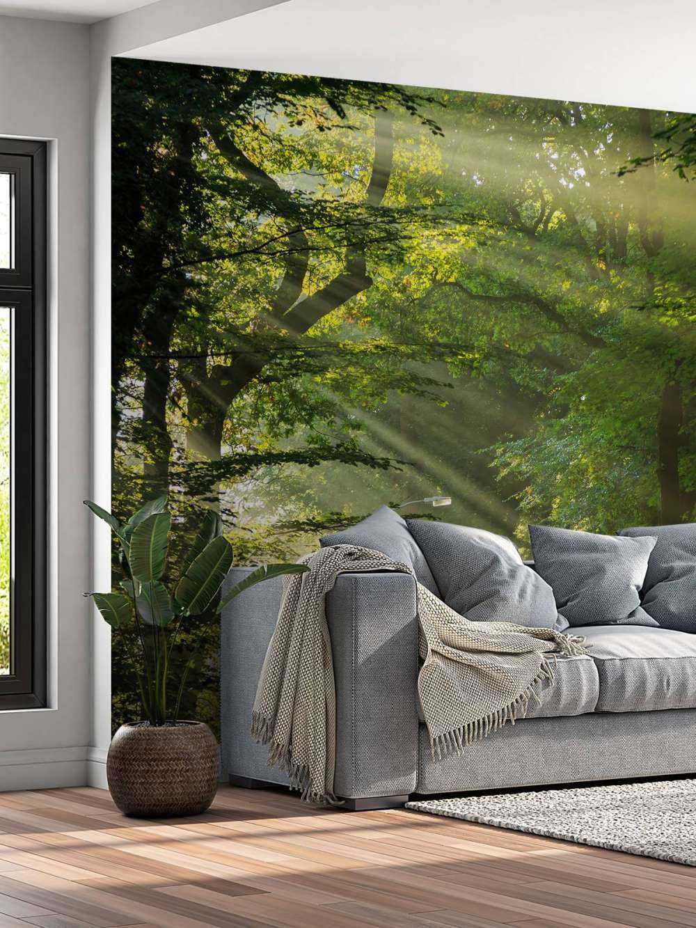 Raggi di sole attraverso gli alberi