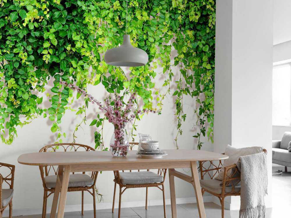 Ramas verdes colgantes