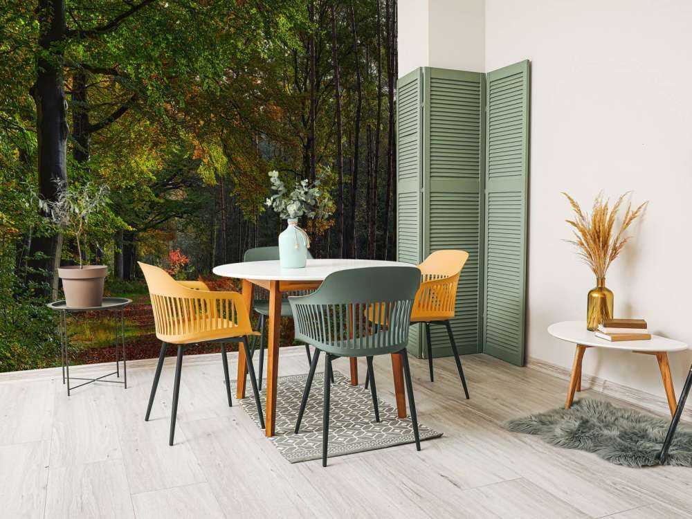 Sentiero con foglie attraverso la foresta