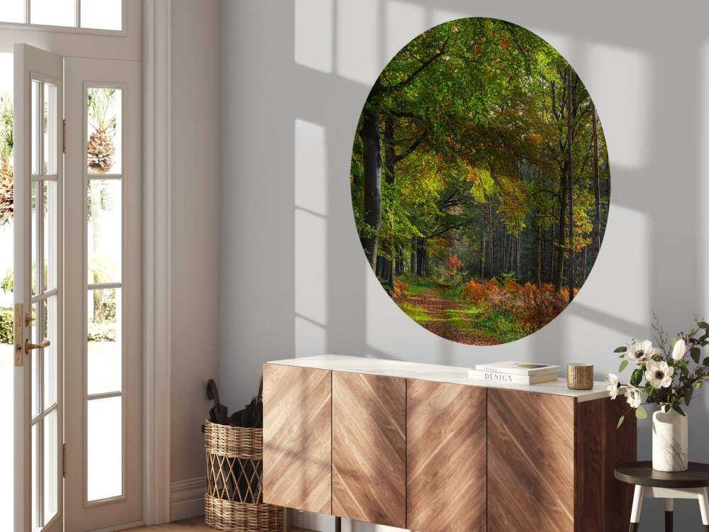 Sentiero con foglie attraverso la foresta