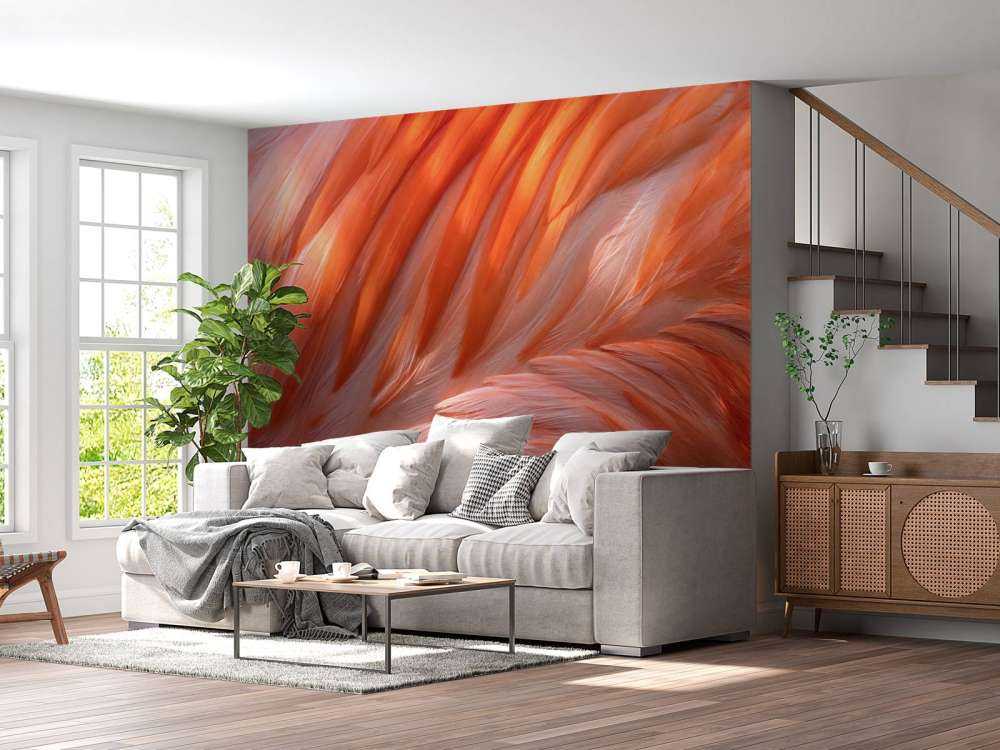 Piume di fenicottero