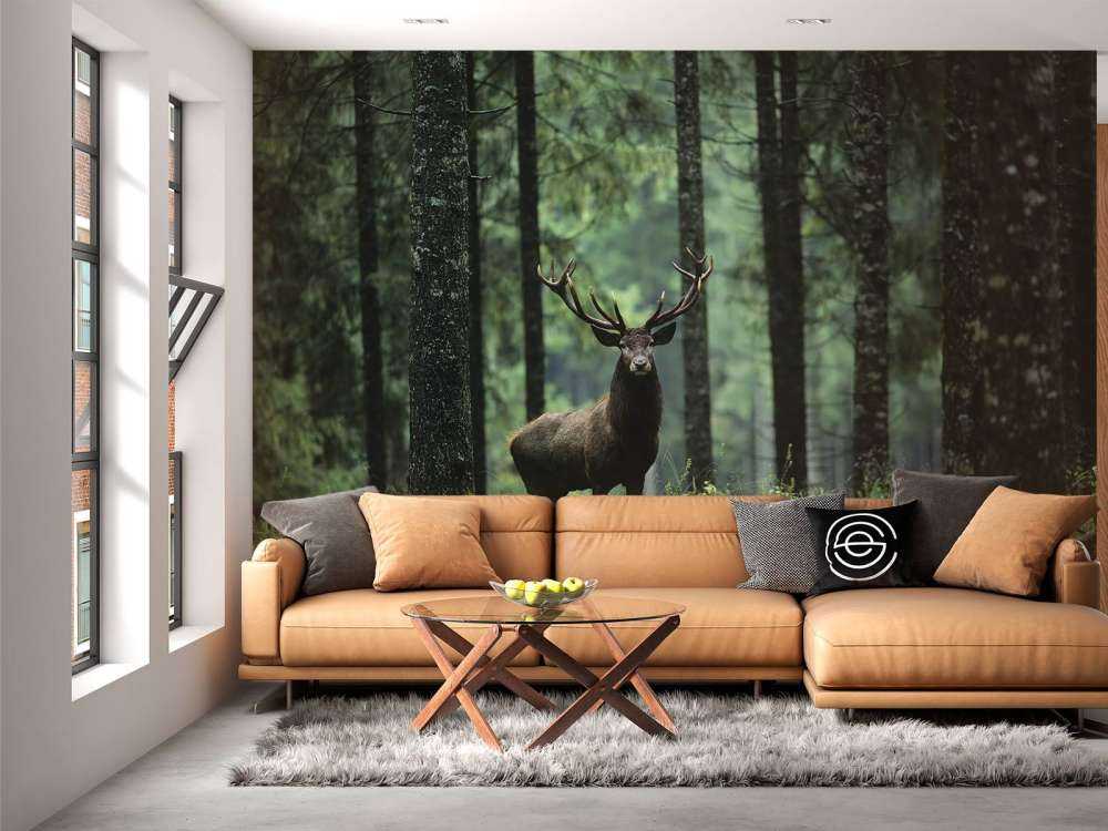 Grande cervo tra gli alberi