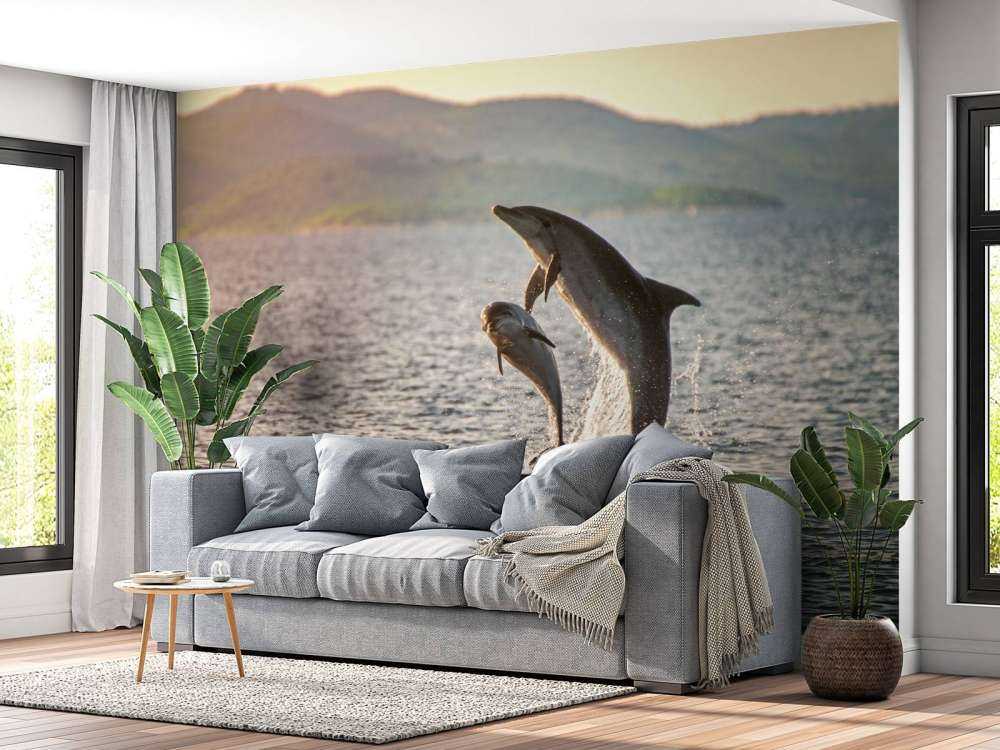 Due delfini che saltano