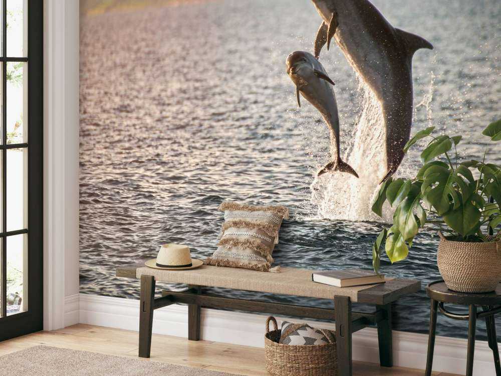 Due delfini che saltano