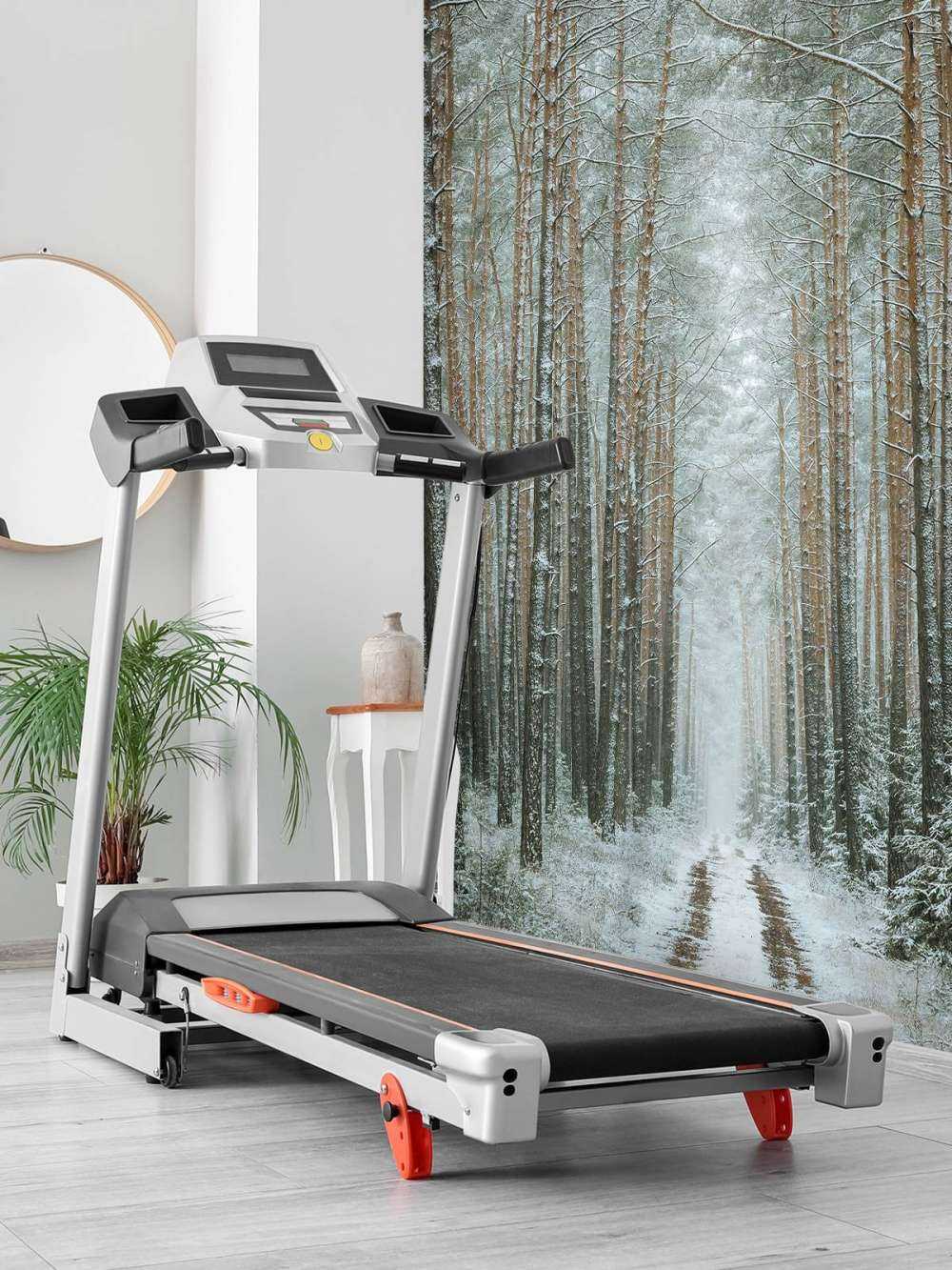 The winter forest road