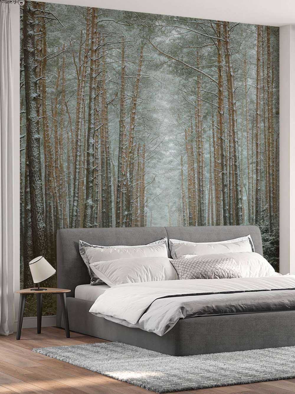 The winter forest road