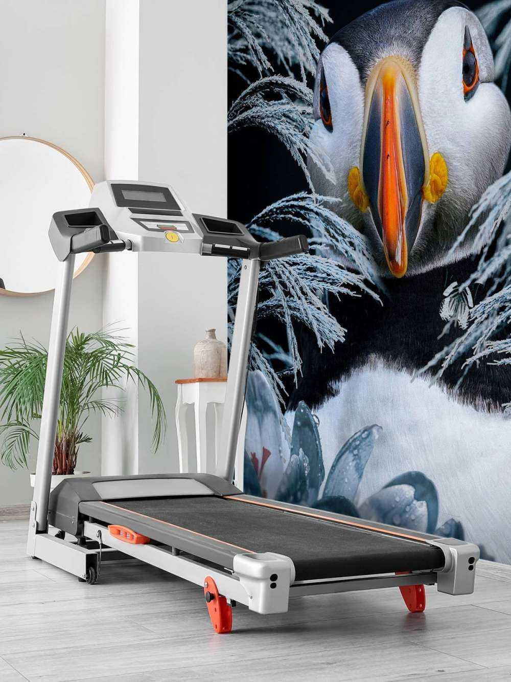 Atlantic Puffins Ritratto